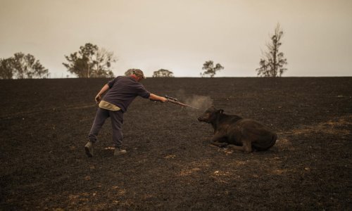 Stiže kiša u Australiju, no stručnjaci upozoravaju na novu opasnost