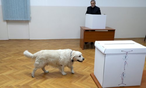 Petek pozvao građane da, po uzoru na Bandića, povedu kućne ljubimce na birališta