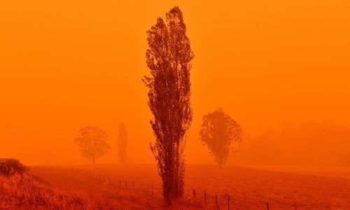 Troje mrtvih nakon pada australskog zrakoplova koji se borio s požarima