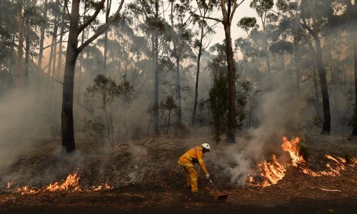 Unatoč kišama, deseci požara i dalje bjesne
