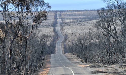 Katastrofa u brojkama: U Australiji su već izgorjele milijarde dolara, a dim će još dugo gušiti tamošnju ekonomiju