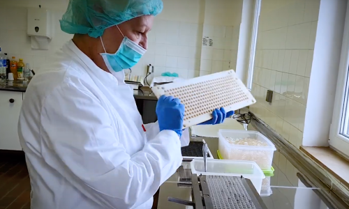 Evo kako je jedan mladi Splićanin reformirao uhodani obiteljski biznis i prometnuo se u najvećeg igrača na tržištu