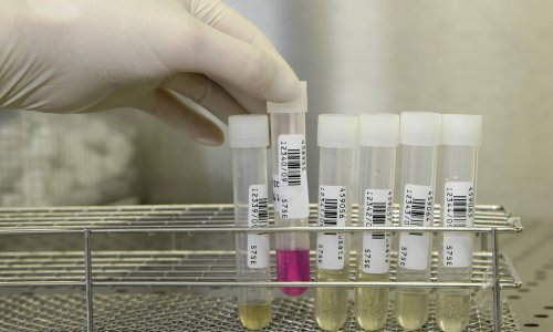 Tvrtka Genos među finalistima europske nagrade