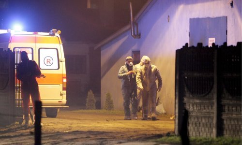 U Češkoj se ponovno pojavila ptičja gripa