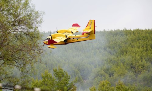 Požar na Svilaji zahvatio oko 50 hektara