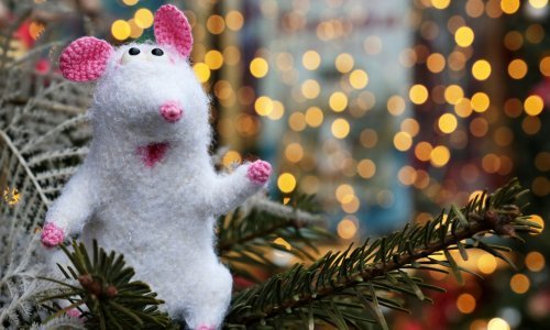 Ulazimo u godinu Štakora, a evo što vam ona donosi u astrološkom smislu