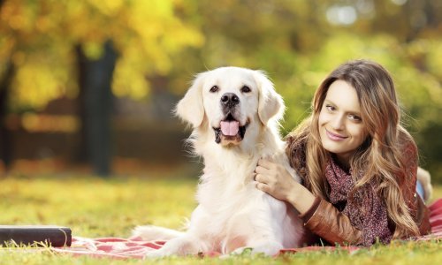 Birate psa? Ovo su najdruštvenije pasmine