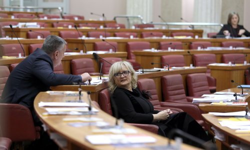 Strenja o saslušanju Beroša: Nikakav dokument nije 'ušao' u Sabor, dok ne uđe, ne može se ništa znati