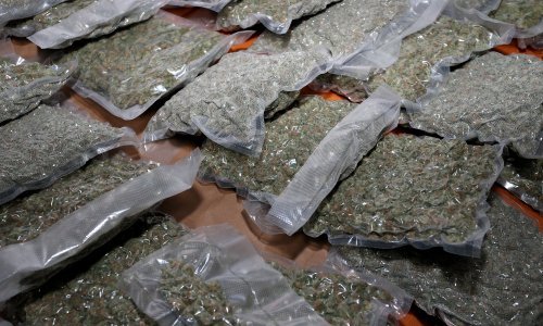 Slovenska i hrvatska policija razbila mrežu kriminalaca; zaplijenili drogu vrijednu više od 600 tisuća eura