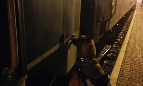 Lord  u vagonu s kukuruzom nanjušio ljude, policija spasila trudnicu i njenog supruga u Tovarniku