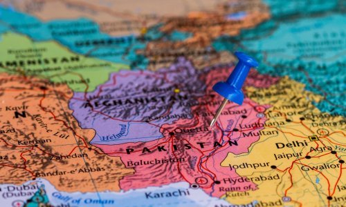 Pakistan proglasio izvanredno stanje zbog najezde pustinjskih skakavaca