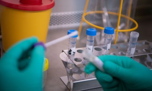 Stručnjaci došli do novih spoznaja o koronavirusu, a Kina još jedan veliki grad stavila u karantenu