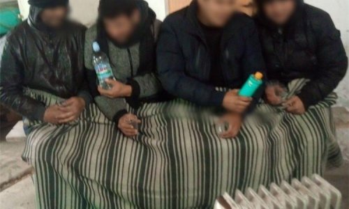 Policija spasila četvero migranata iz ledenog Dunava