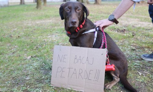 Prijatelji životinja predali potpise za zabranu petardi, MUP najavio izmjenu zakona