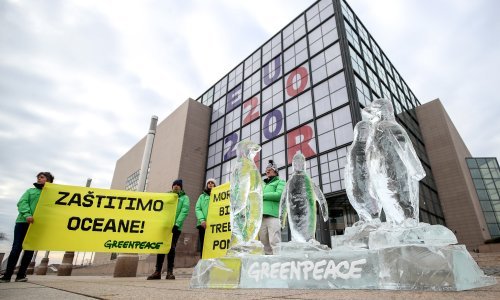 Aktivisti Greenpeacea izložili ledenu skulpturu pingvina ispred zgrade NSK