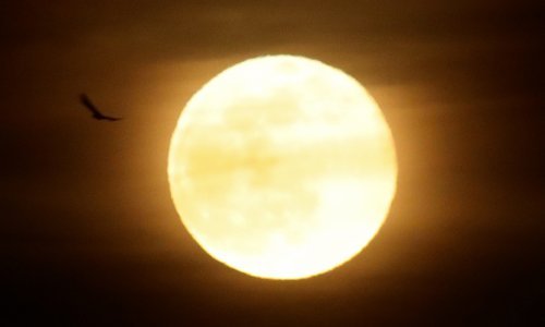 Pokazao se prvi Supermjesec ove godine: Pogledajte prizore iz Pule i Sarajeva