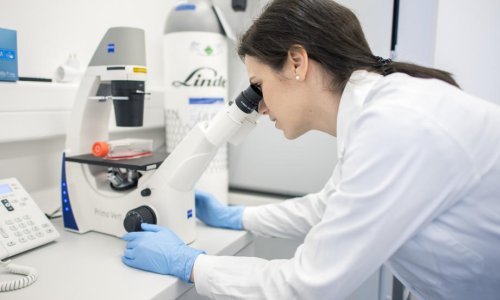 Znanstvenici objavili trodimenzionalni model koronavirusa