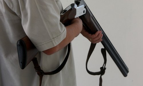 Krivolovci u Keniji ubili jedinu ženku bijele žirafe