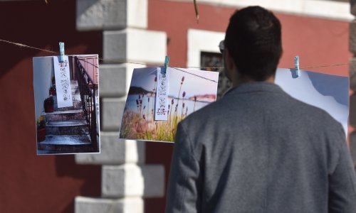 Na ulicama diljem Hrvatske osvanule fotografije, slike i knjige s porukama 'Udomi me'