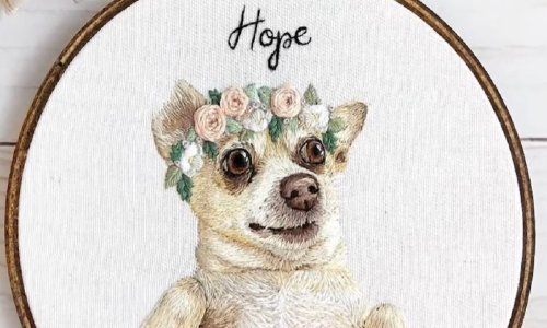 Vješta Amerikanka hekla iznimno realistične goblene ljubimaca