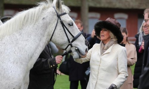 Vojvotkinja Camilla posjetila državnu ergelu u Đakovu