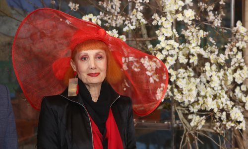 Neobična verzija: Evo što čitatelji tportala misle o izvedbi himne Josipe Lisac