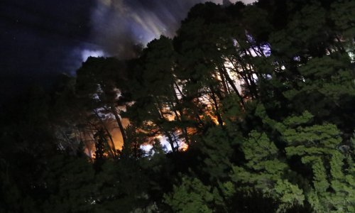 Požar u Podgori ugasilo 66 vatrogasaca