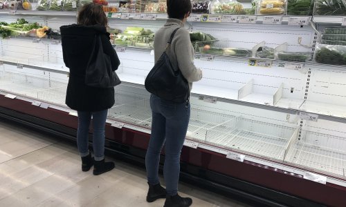 Studentica iz Hrvatske: Panika se širi brže od bolesti! Hitna je stalno zauzeta, police su prazne...