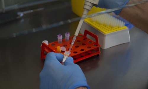 Američka farmaceutska tvrtka isporučila prvo cjepivo protiv koronavirusa, kreću testiranja na ljudima