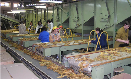 Smanjen broj zaposlenih u proizvodnji, najveći pad u duhanskoj industriji