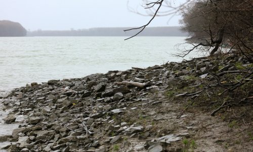 Na Dunavu kod Aljmaša nađena dva mrtva ribiča; ugušili su se?