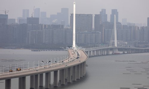Kineski grad Shenzhen priprema zabranu konzumacije pasa i mačaka
