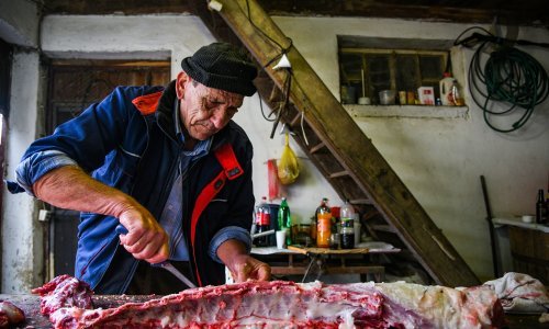 Od 1. travnja obvezna prijava klanja svinja za vlastite potrebe