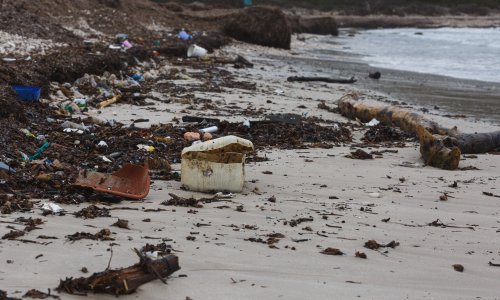 Smeće i prljavština posvuda: Pogledajte kako izgleda jedna od najljepših hrvatskih plaža u zimskom periodu