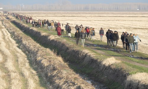 Policija u Bihaću zbog kaznenih djela uhitila deset ilegalnih migranata; imali marihuanu i noževe