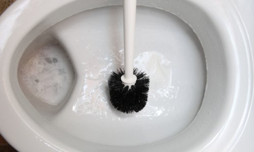 Nakon zlatnog zahoda, Zagreb dobio zlatnu WC četku: Plaćena je 312 kuna