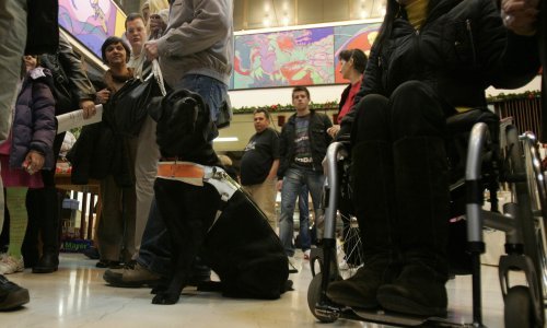 Nezaposlene žene s invaliditetom podložnije bolestima