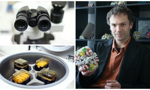 Hrvatski znanstvenik, 'nomadski lovac' na lijekove za rak i dijabetes