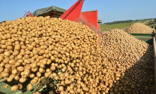 Stanje strateških robnih rezervi: U slučaju karantene ima dovoljno zaliha za opskrbu cijelog stanovništva 30 dana