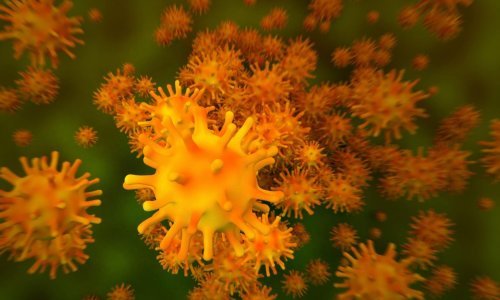 Od izbijanja zaraze svi iščekuju samo jedno. Evo dokle se došlo s razvojem cjepiva protiv koronavirusa