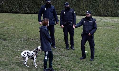 Vlasti izdale bizaran naputak: Možete izaći iz karantene i prošetati psa, ali mora biti živ! Neki su, naime, šetali - plišance