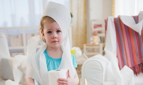 Provjerite koliko vam toaletnog papira treba za 14 dana karantene