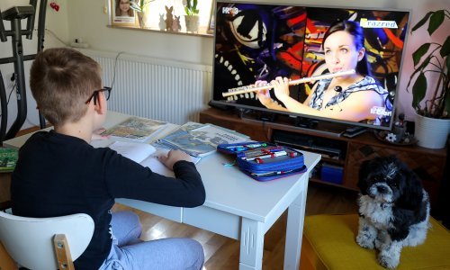 Pitali smo ravnatelje kako zapravo funkcionira škola na daljinu: 'Nemamo problema osim tehničkih, kad se svi u osam sati ujutro istovremeno uključe u sustav koji još nije dotjeran...'