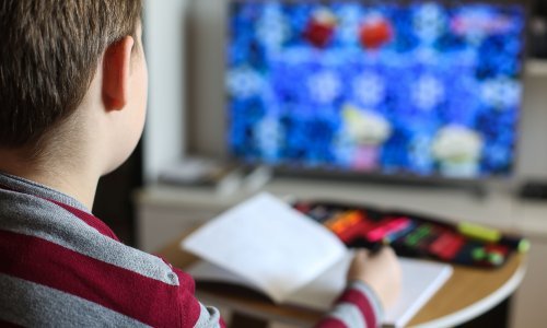 Psihologinja nam je dala nekoliko odličnih savjeta za discipliniranje djece tijekom trajanja online nastave