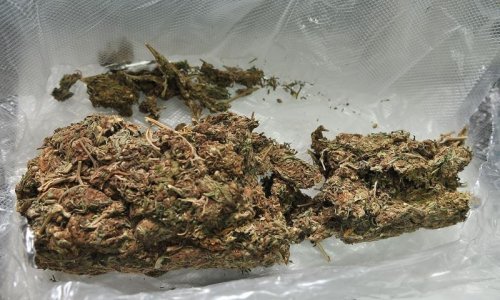 Italija dekriminalizira manje prekršaje za marihuanu