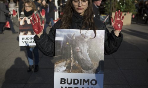 Prijatelji životinja: Veganskom hranom možete se boriti protiv bolesti, klimatskih promjena i gladi