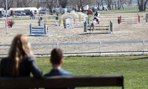 U Švedskoj zaustavljeni sportovi na najvišoj razini, Vlada pomaže sa 50 milijuna eura, ali za konjički sport ne vrijede ograničenja?!