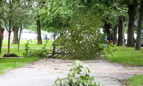 Budite oprezni: Zagrebu prijete jaki udari vjetra od 65 km na sat