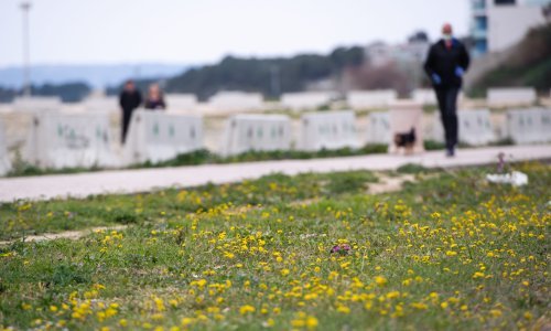 Vikend će biti pravi proljetni, idealno vrijeme za širenje virusa - ostanite kod kuće!