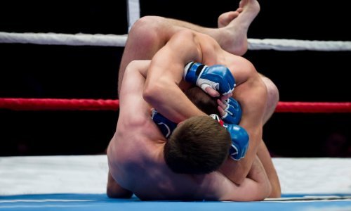 Elitna borilačka promocija objavila kompliaciju sa čak 35 spektakularnih prekida; može se vidjeti zaista svega